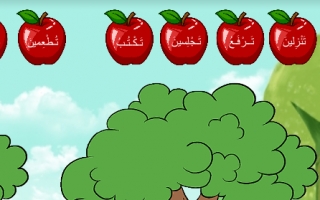 زينة المرزوقي إستراتيجية شجرة التفاح