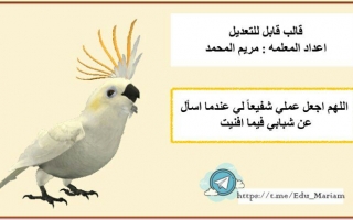 بوربوينت قالب الطيور -مريم المحمد 2021